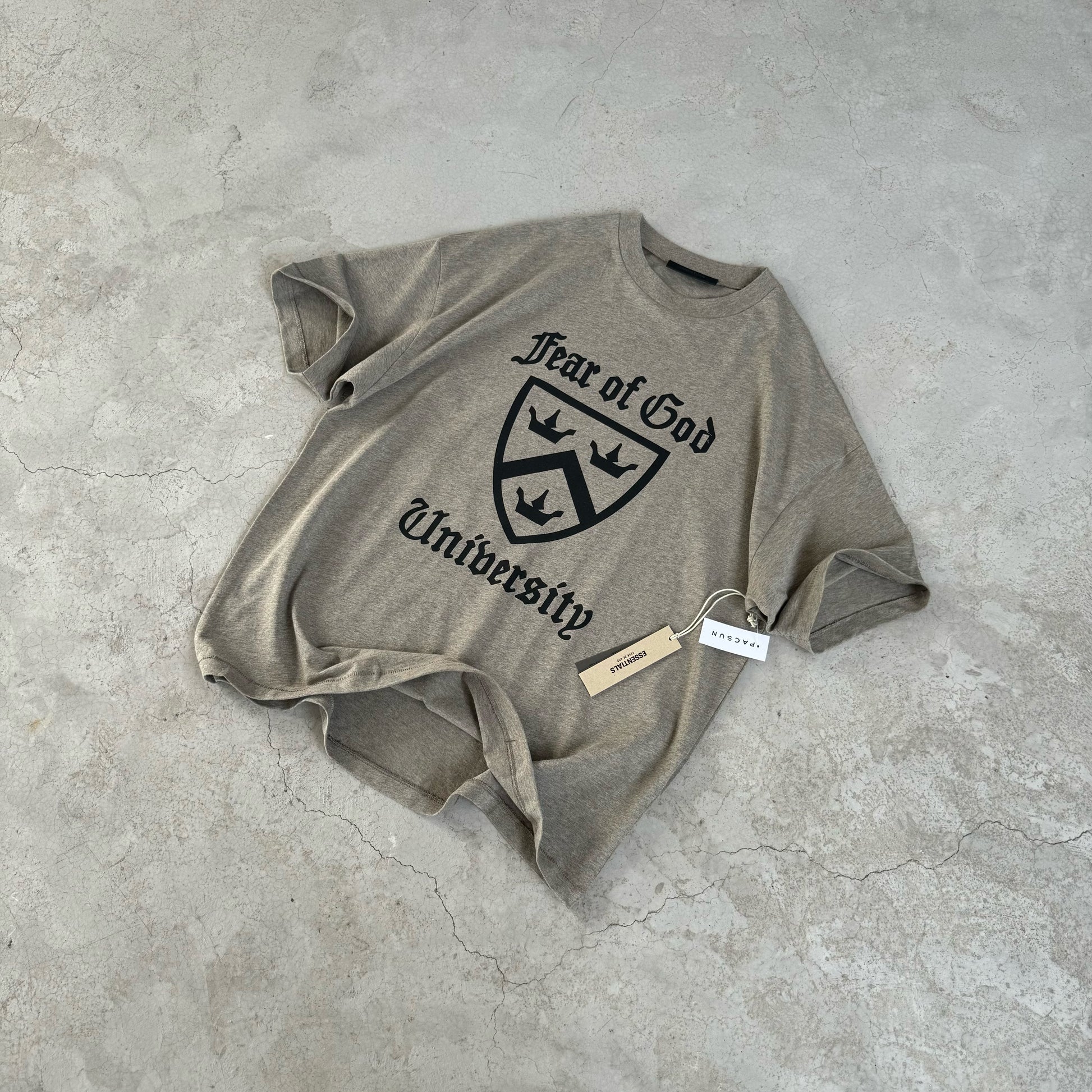 AMBERELLE Holiday Crest Graphic Short Sleeve Tee in taupe