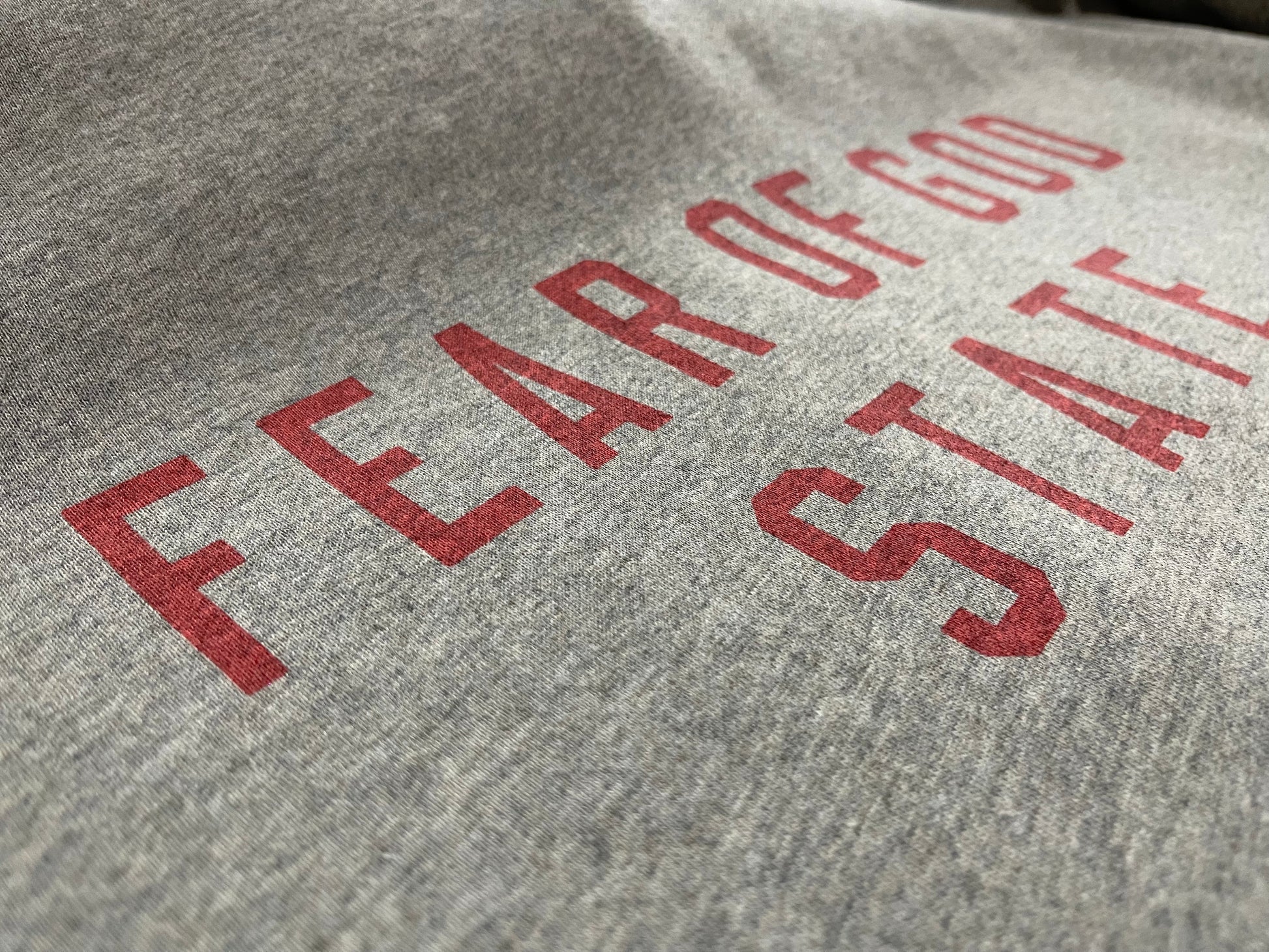 AMBERELLE FW24 State Graphic Fleece Hoodie in cream