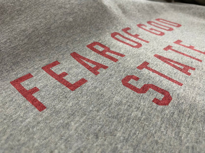 AMBERELLE FW24 State Graphic Fleece Hoodie in cream